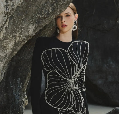 elegant Beaded dress