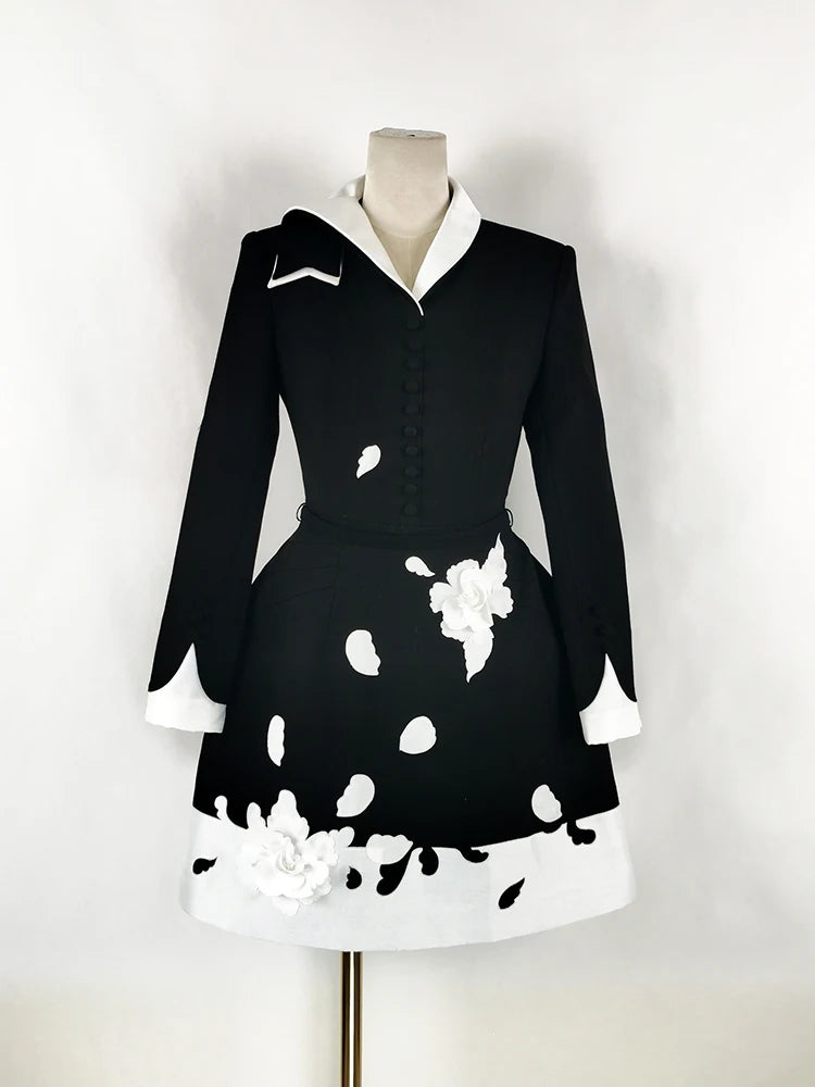 Long Sleeve elegant dress