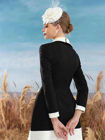Long Sleeve elegant dress
